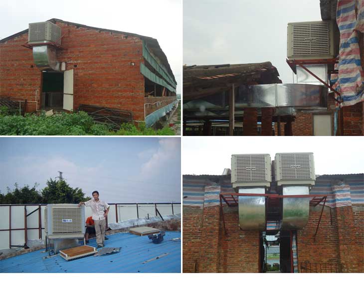 江門(mén)五洞豬場(chǎng)